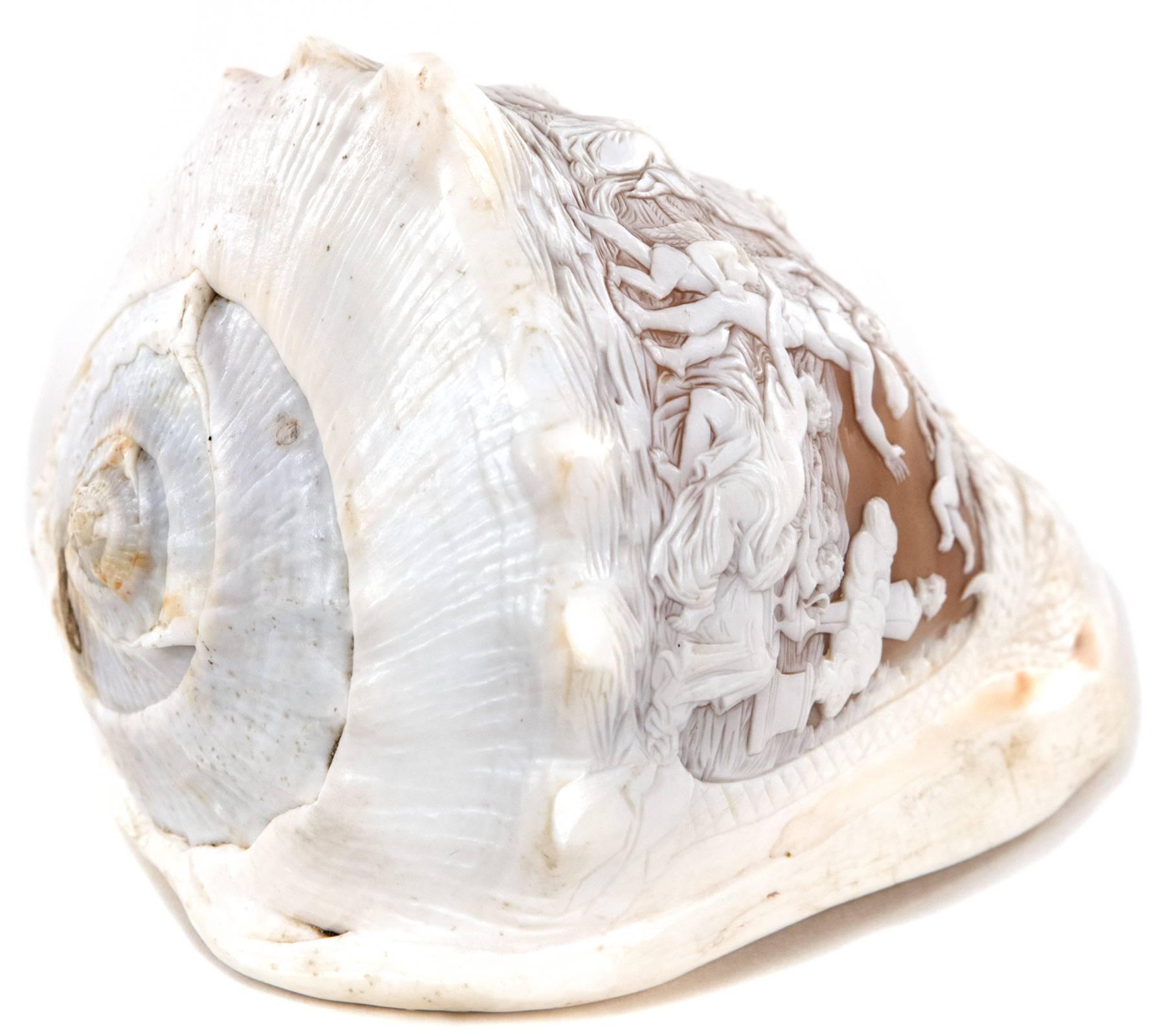antique carved conch shell