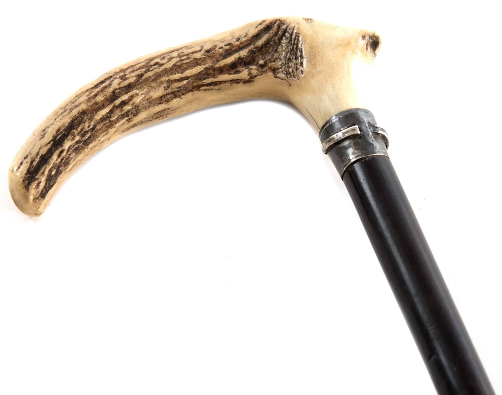 cane with horn and mirror