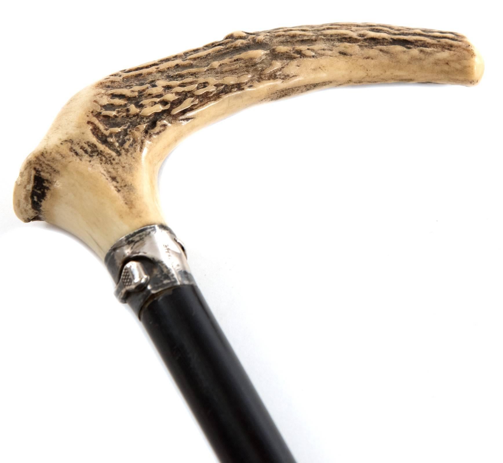 Horn and Ebonized Turned Hardwood Cane In Good Condition For Sale In Salt Lake City, UT