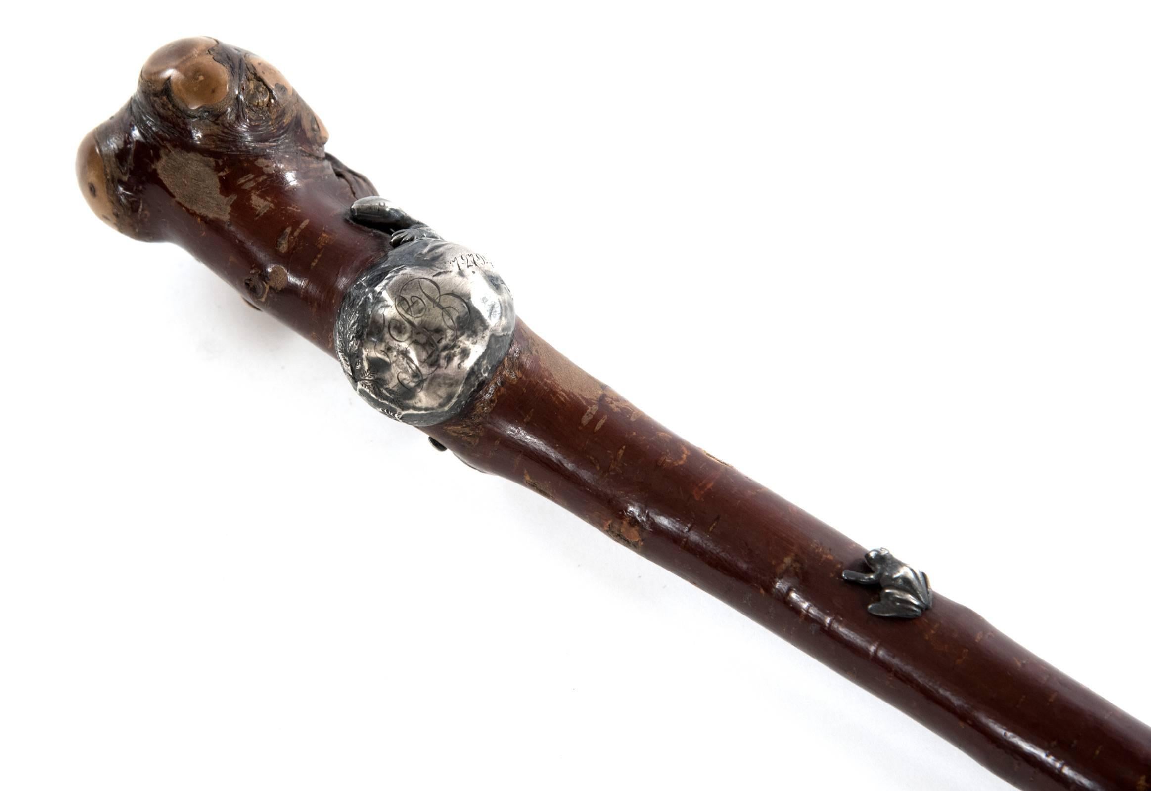 A walking stick with the gnarled, organic attributes of the wood itself giving character to the piece. A silver collar, with a lizard element, is engraved with the initials and the date 