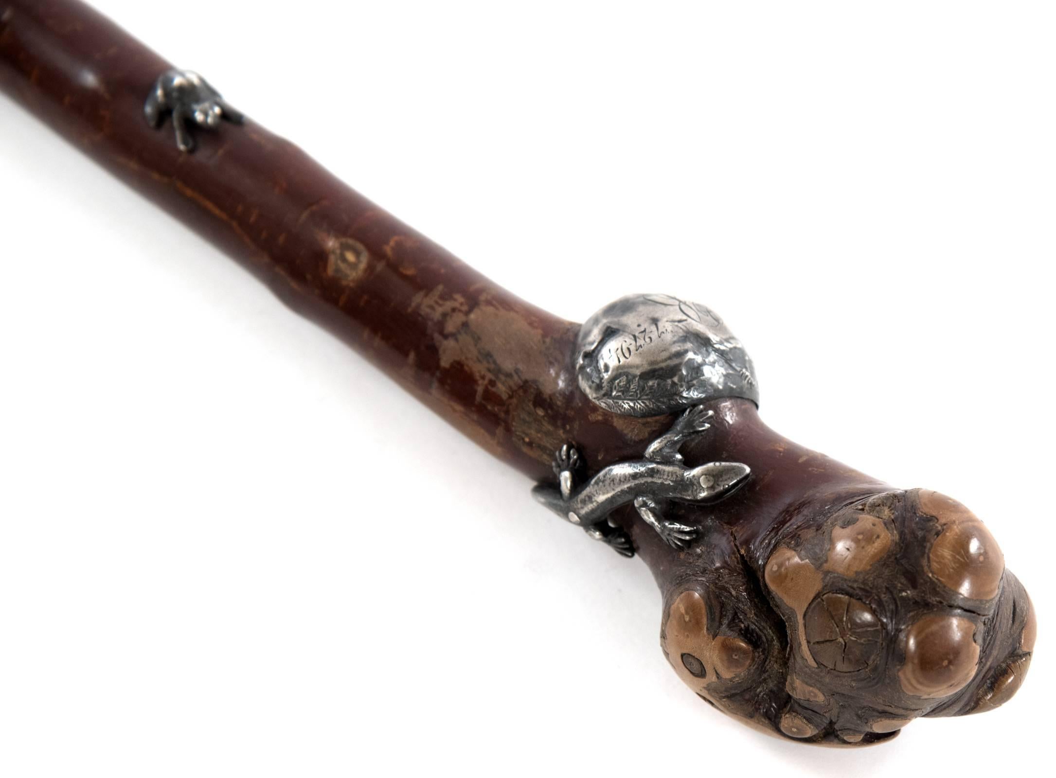 Oceanic Organic Walking Stick with Silver Decorative Elements