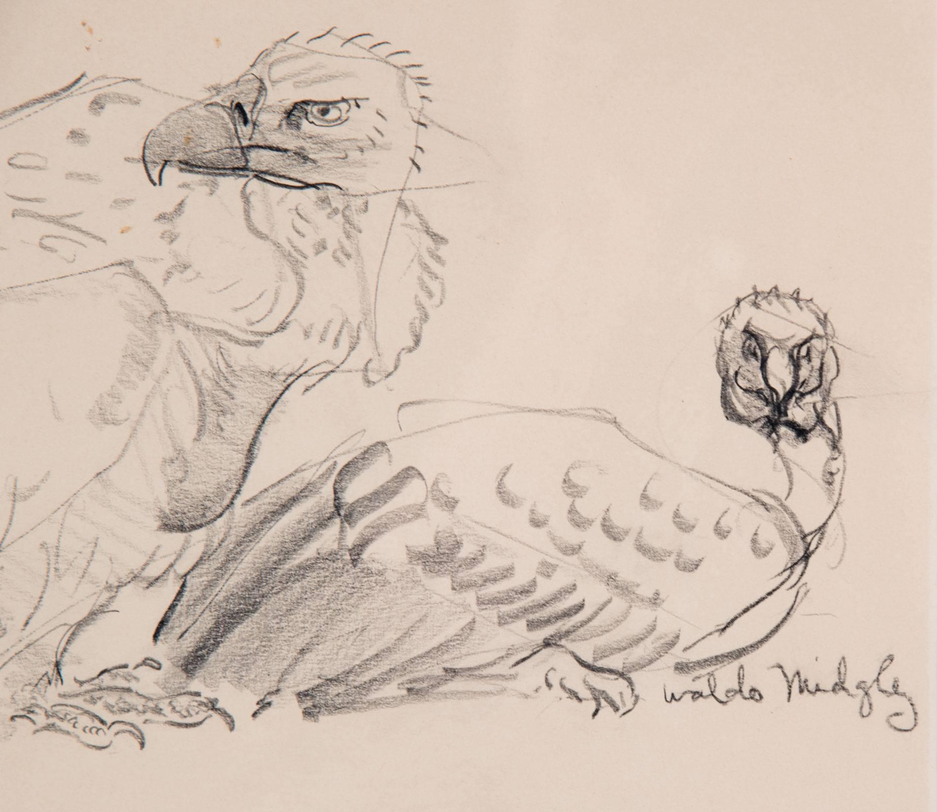 American Two Vultures by Waldo Midgley, 1993 For Sale