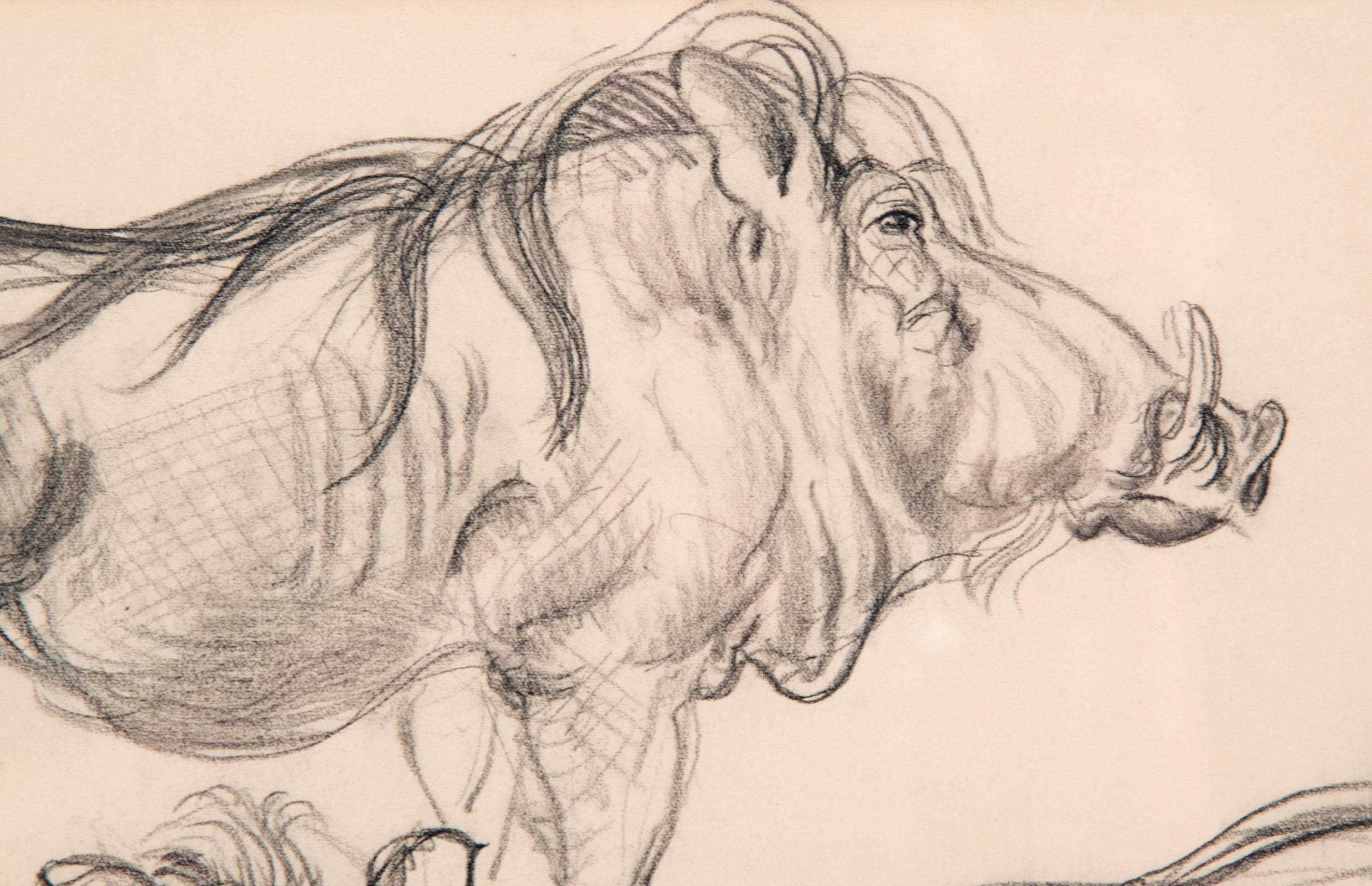 American Boar Study by Waldo Midgley, 1993 For Sale