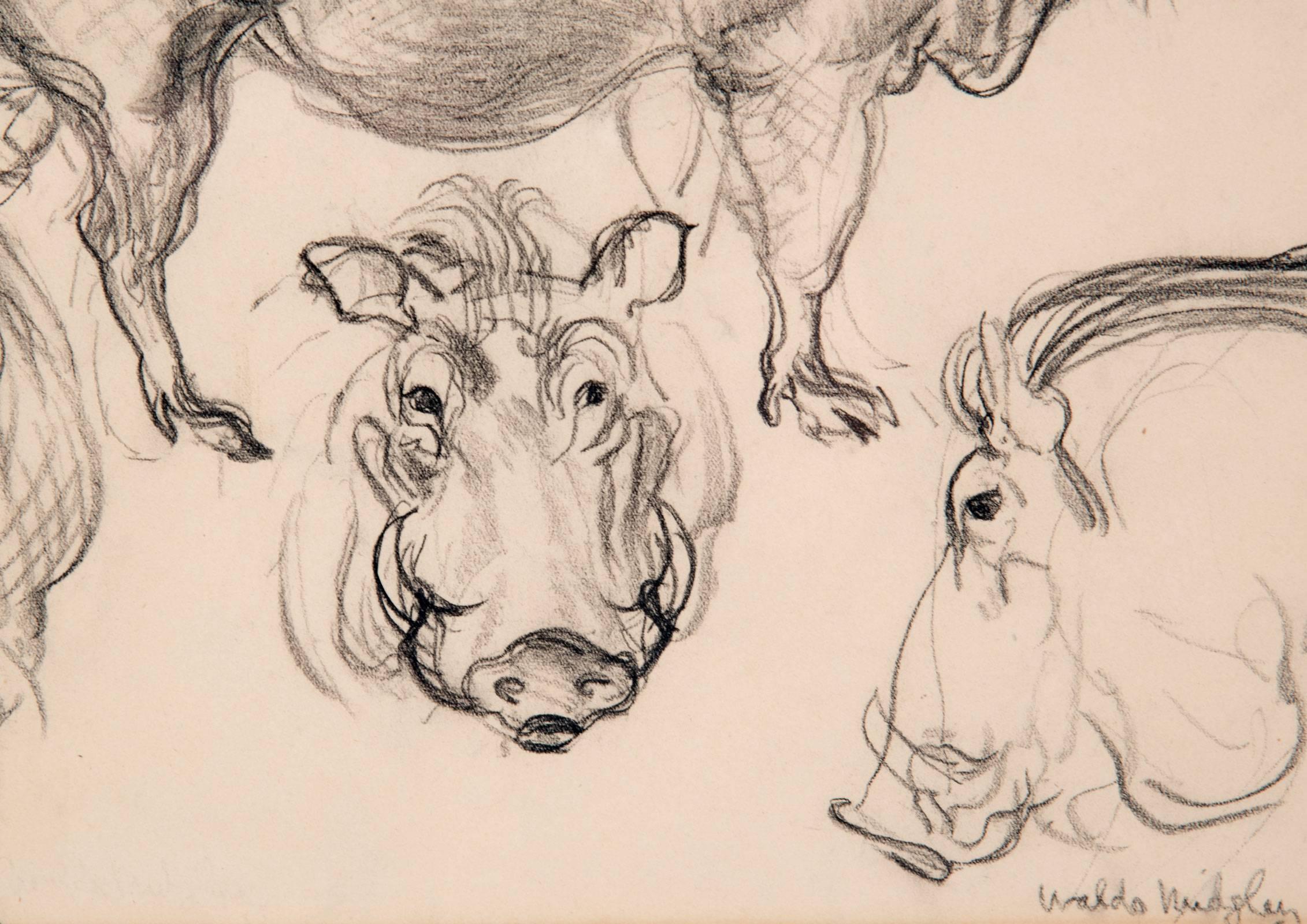 Post-Modern Boar Study by Waldo Midgley, 1993 For Sale