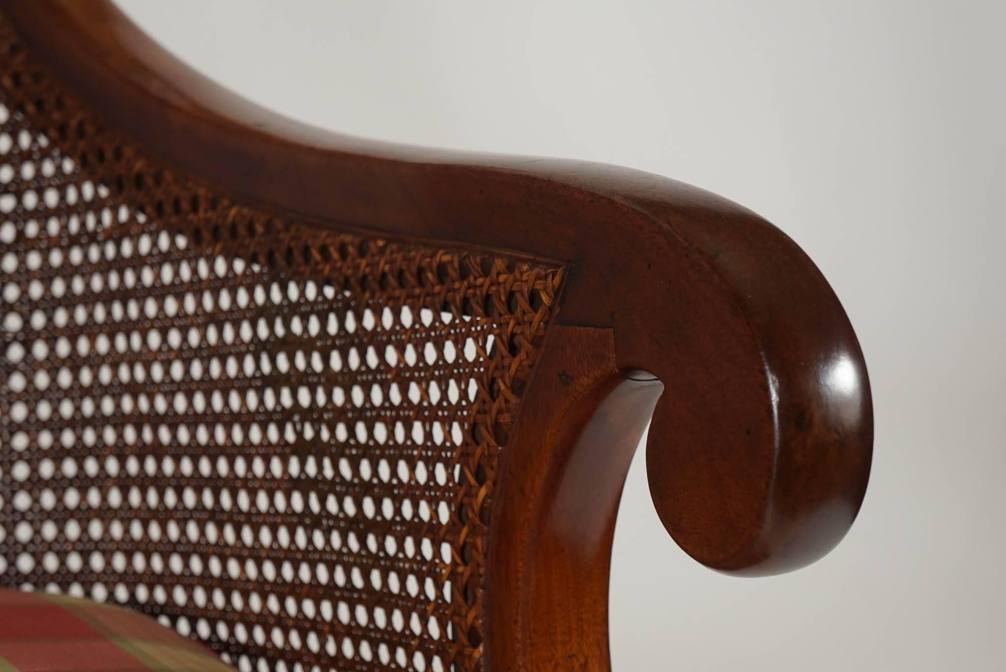 English Regency Period Caned Mahogany Armchair or Bergere, circa 1830 3