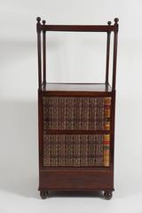 English Regency Period Mahogany Étagère or Library Stand, circa 1815