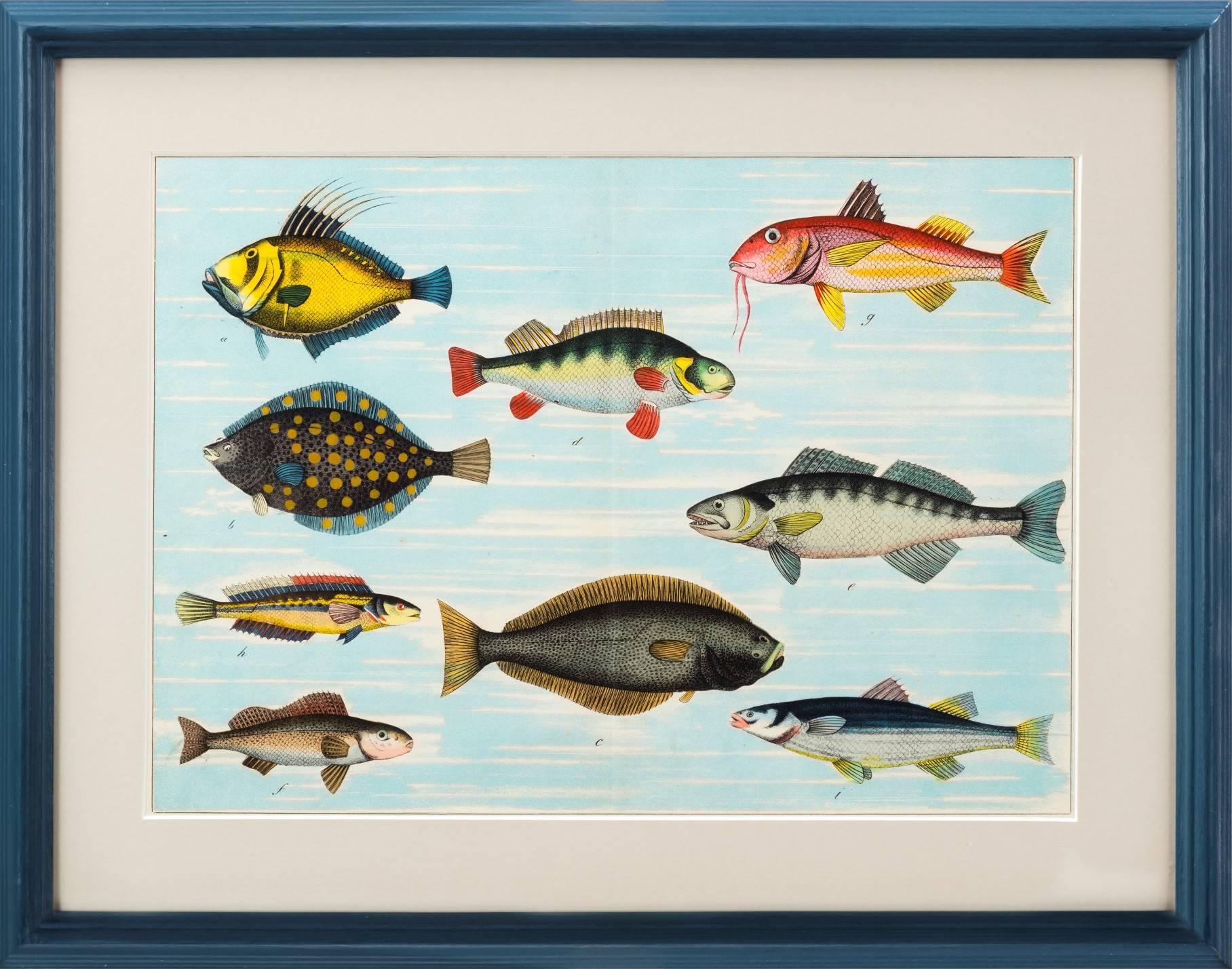 Paper Tropical Fish Prints For Sale