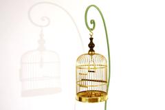 Bird Cage, France, 1880-1920