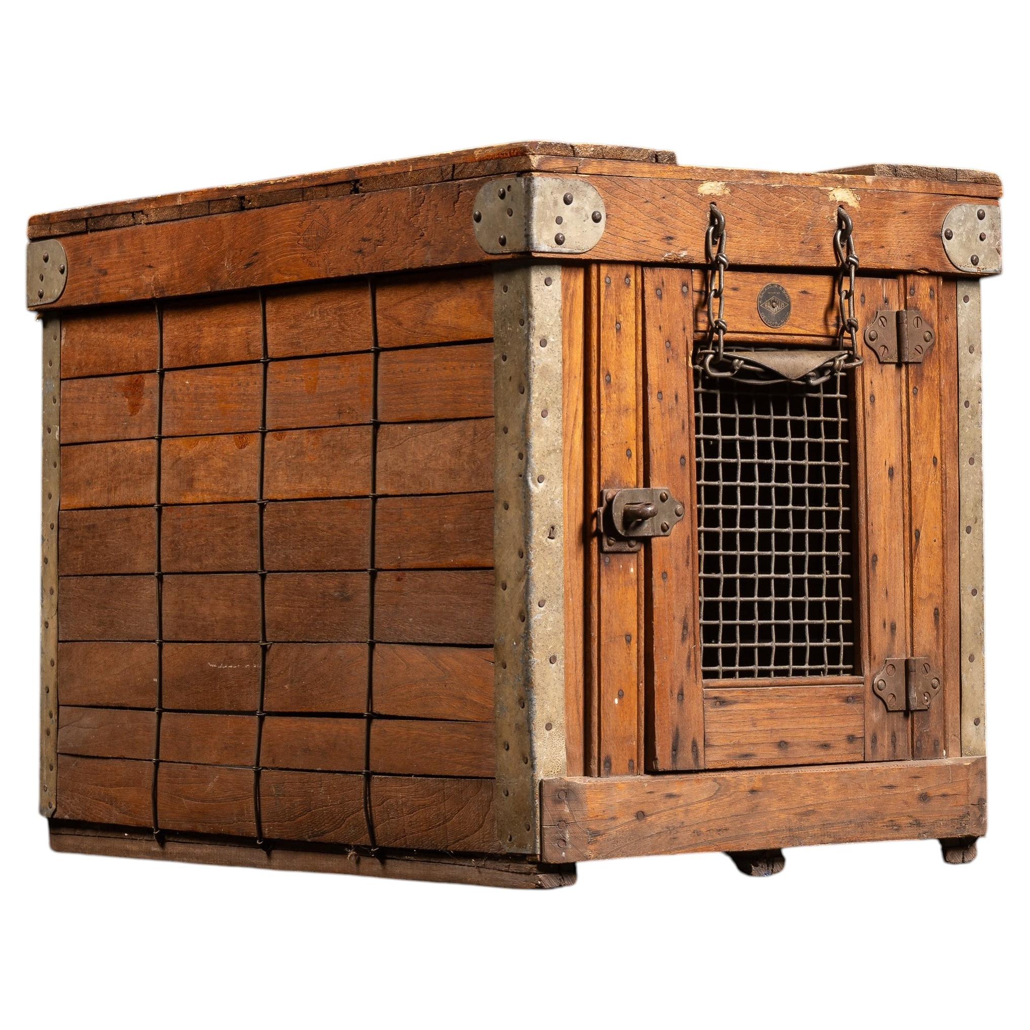 Early Wooden Animal Shipping or Veterinary Crate For Sale