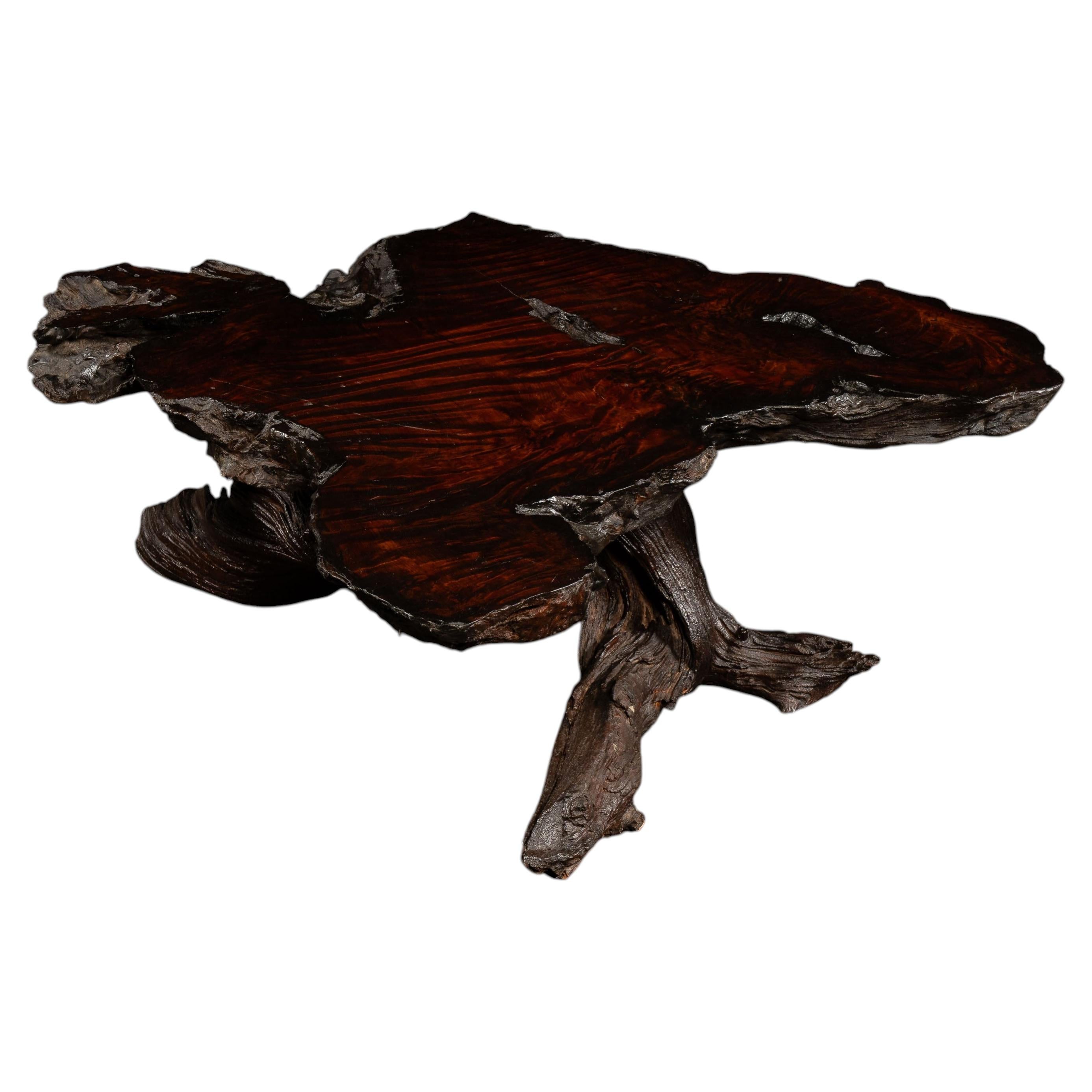 Live-Edge Burlwood Root Coffee Table