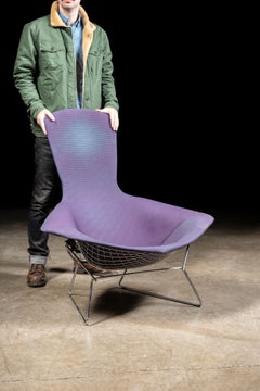 Chaise « Bird » des années 1970, conçue par Harry Bertoia pour Knoll