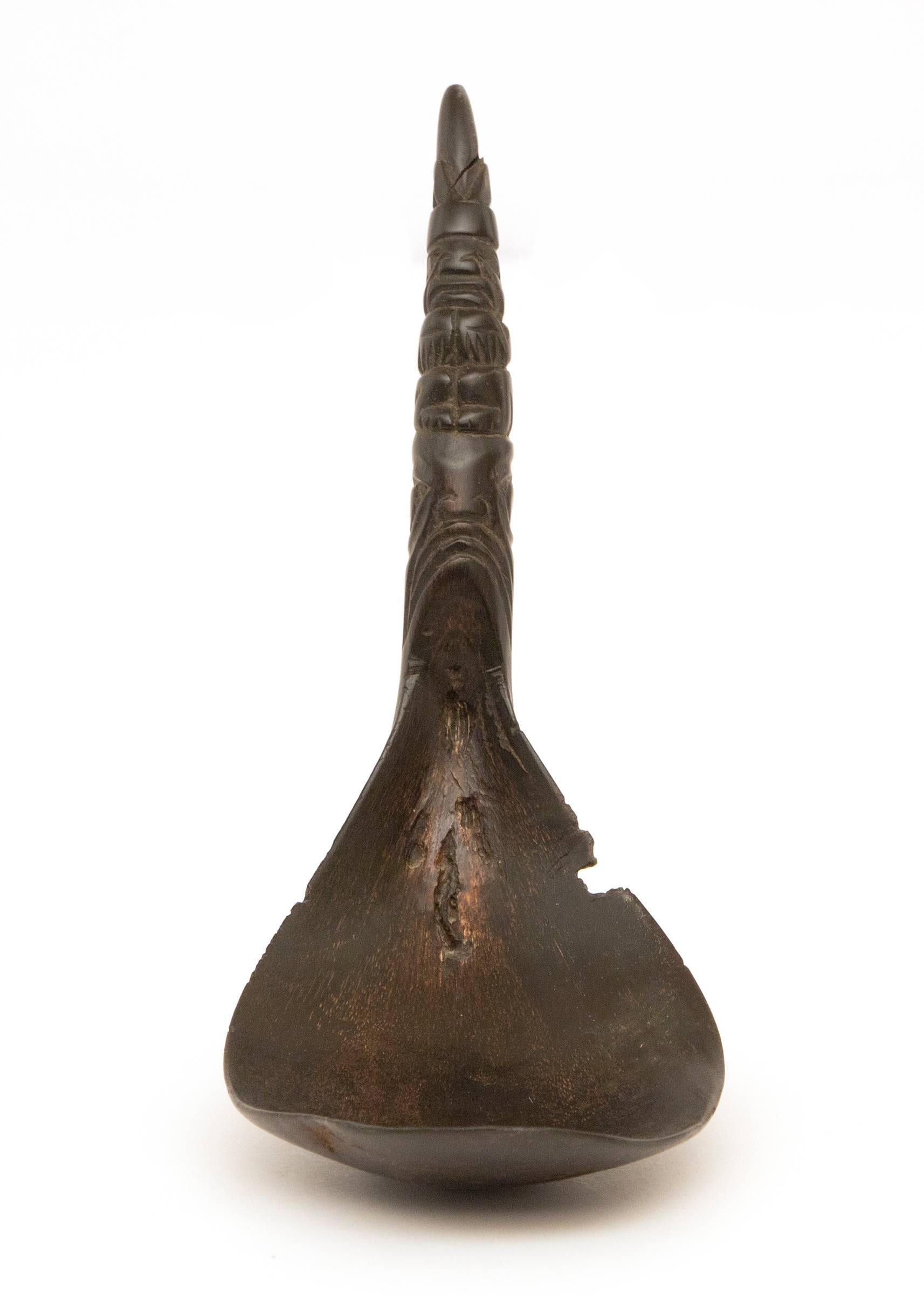 Antique Northwest Coast Native American Carved Horn Spoon, Haida, 19th Century 1