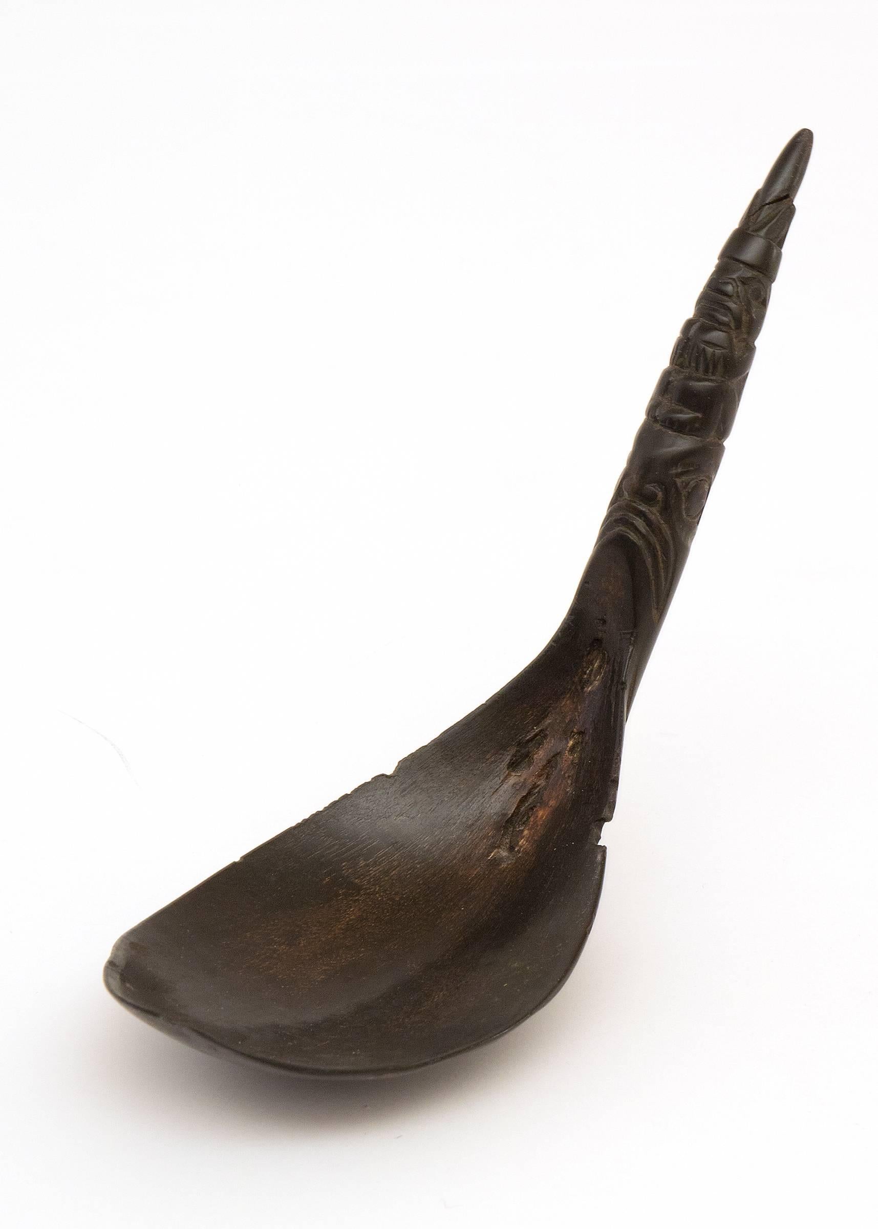 Antique Northwest Coast Native American Carved Horn Spoon, Haida, 19th Century 2