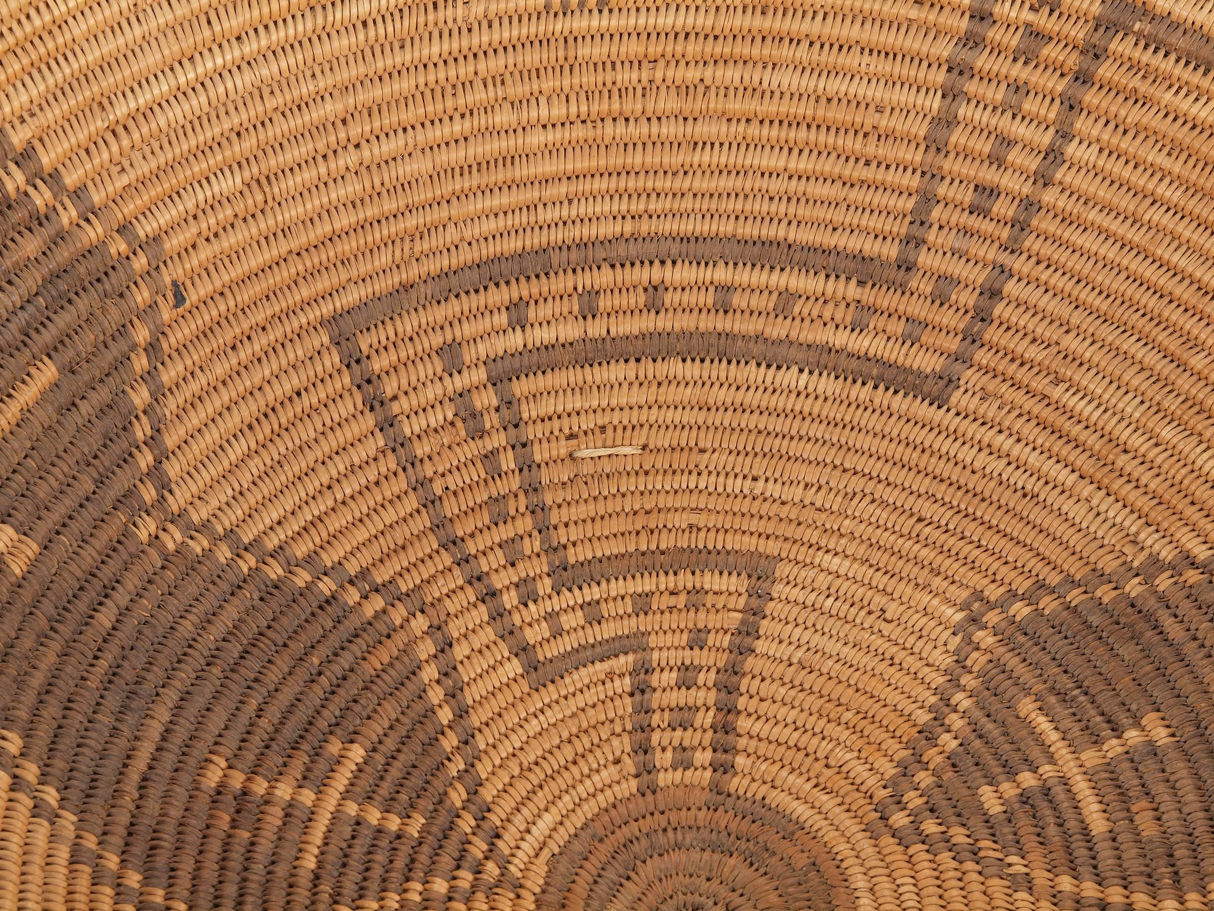 Apache-Bildertablett – antike Schale der amerikanischen Korbkunst, 19. Jahrhundert 1