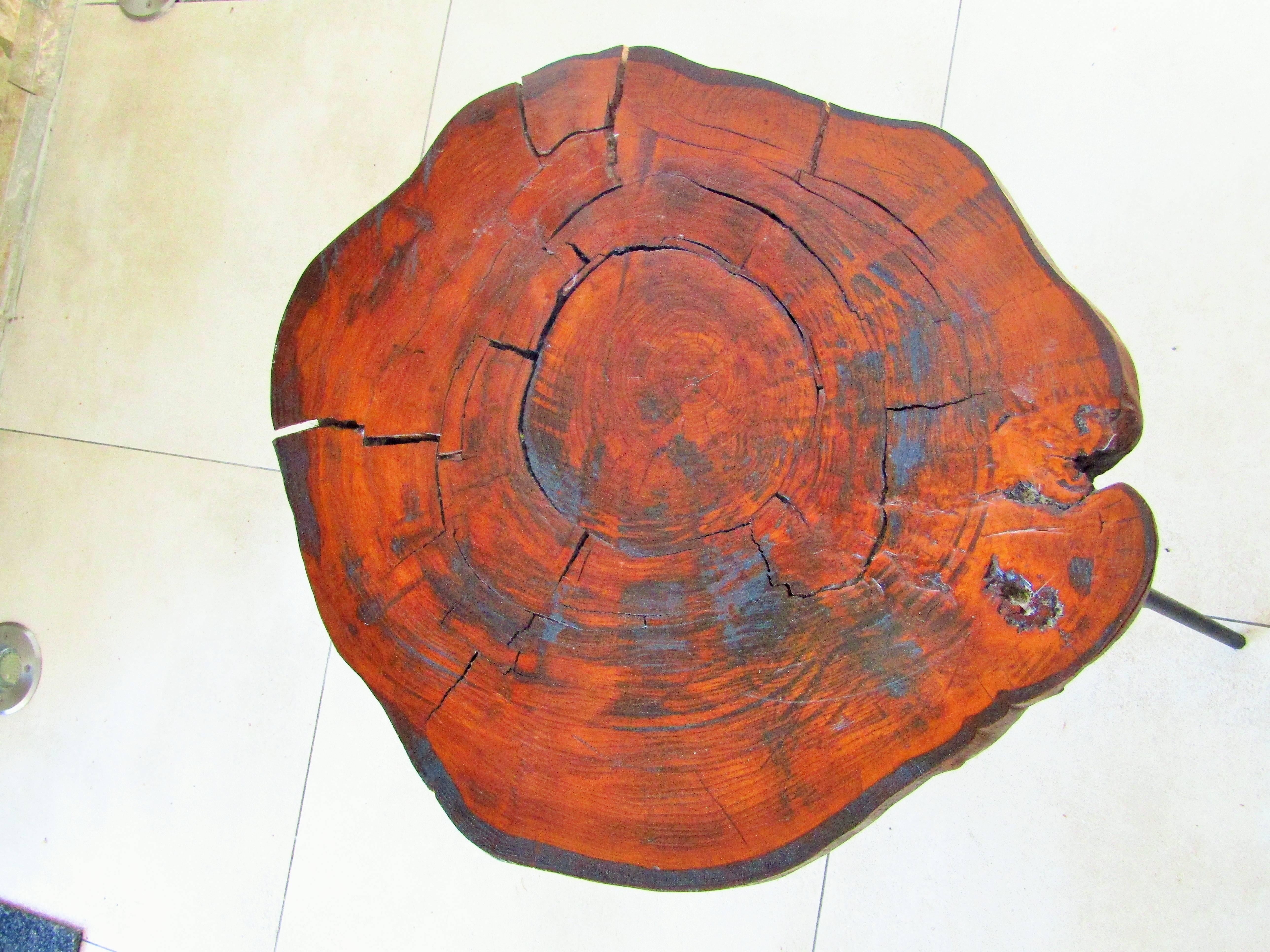 Mid-Century Modern Tree Trunk Side Coffee Table, Austria, style Aubock 1950s For Sale