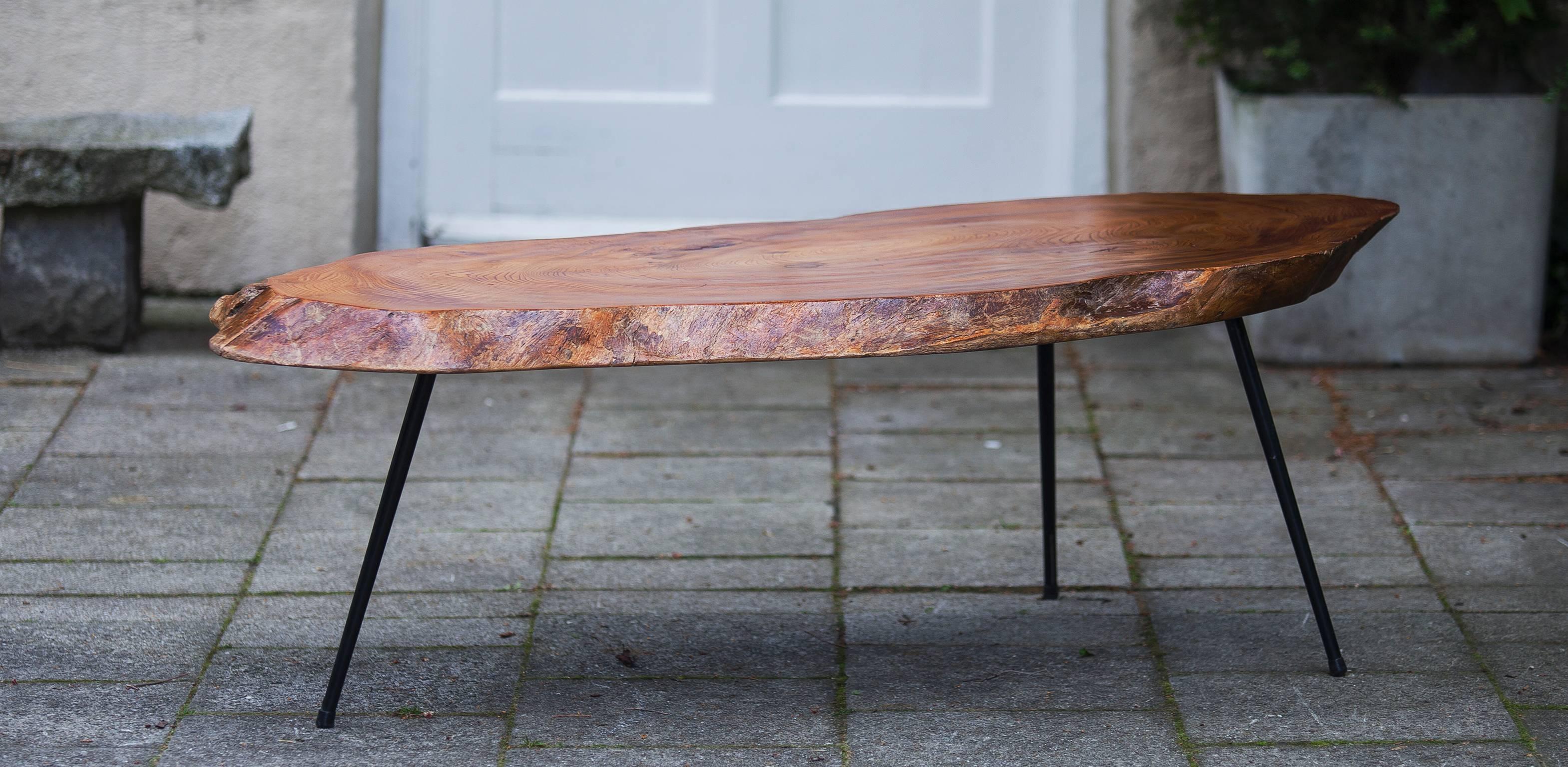 French Tree Trunk Coffee Table in Nakashima Style