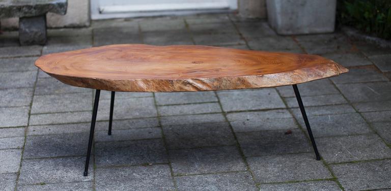 Tree Trunk Coffee Table In Nakashima Style At 1stdibs