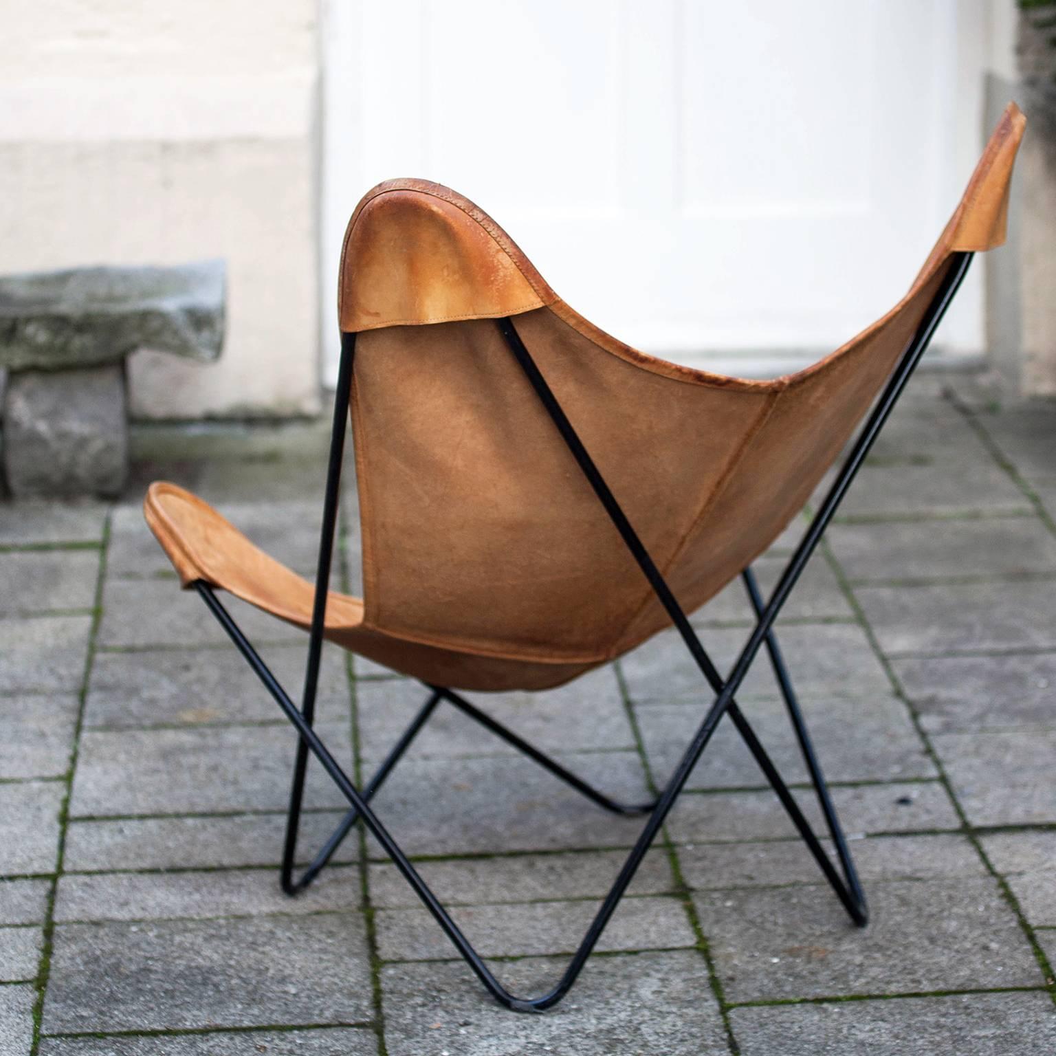 Butterfly chair by Knoll International with exceptionally beautiful original leather in Champagne on a black base. Designed by J. Ferrari-Hardoy, J. Kurchan, A. Bonet in 1938. Manufactured from 1947 to 1975 by Knoll International.