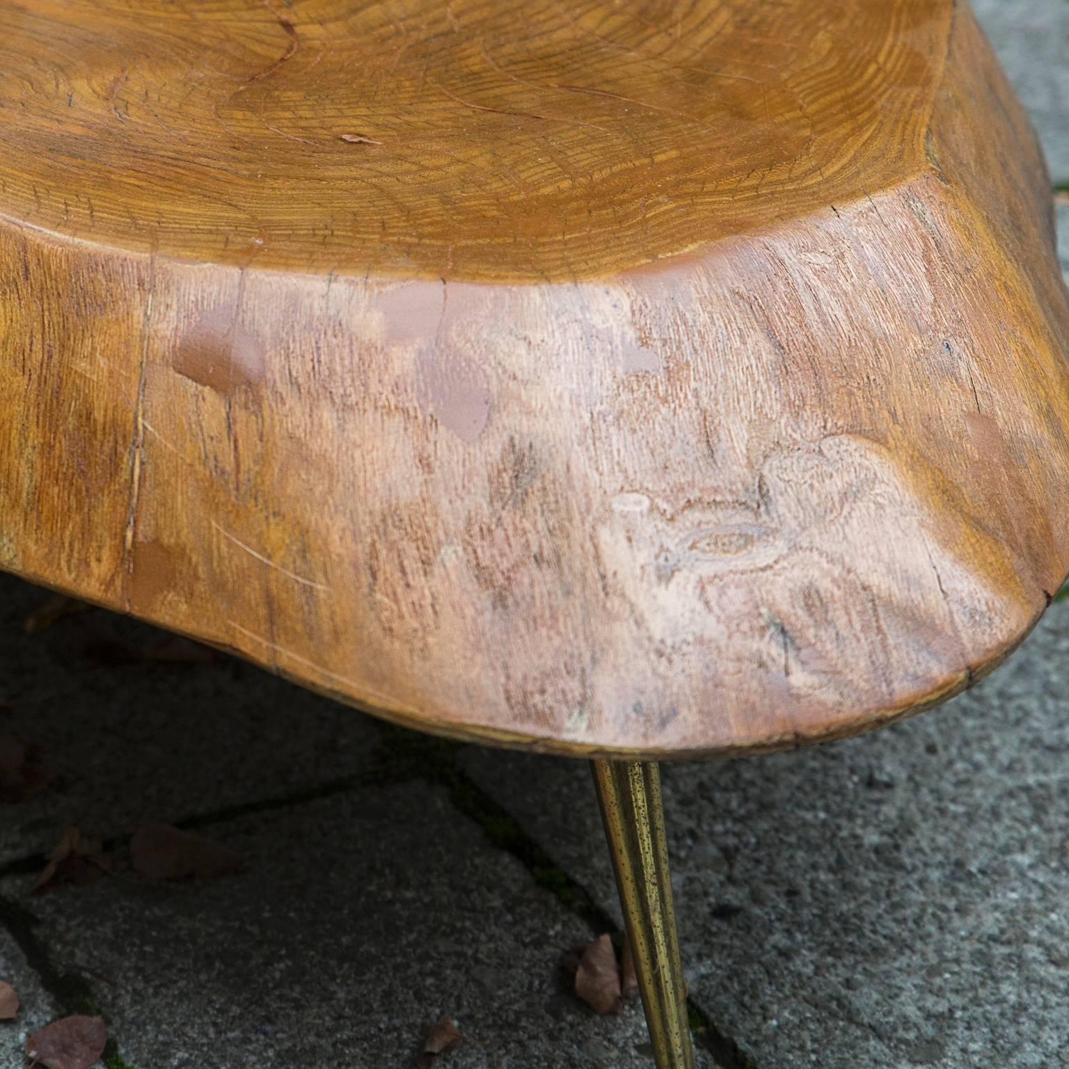 tree trunk sofa table