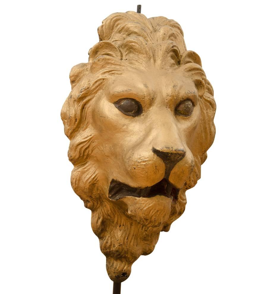 Salvaged from the facade of an impressive early-century building, this large cast iron lion's head would have been one of many to dot the cornice of a commercial or municipal building. We are picturing a bank or library. Sand cast from iron, the
