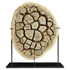 Septarian nodule on a custom stand