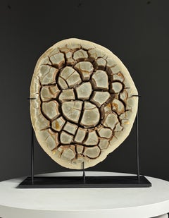Septarian nodule on a custom stand