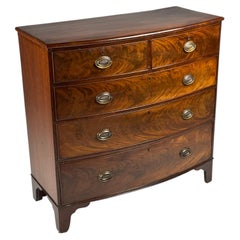 Mahogany bow-front chest of drawers
