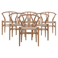 CH 24 - Set di 6 sedie in olmo di Hans J. Wegner