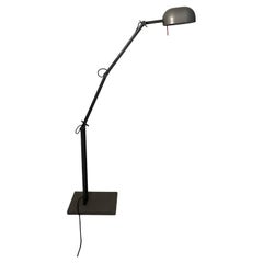 Adone floor lamp by CP & CR Associati and produced by Artemide, 1980s.