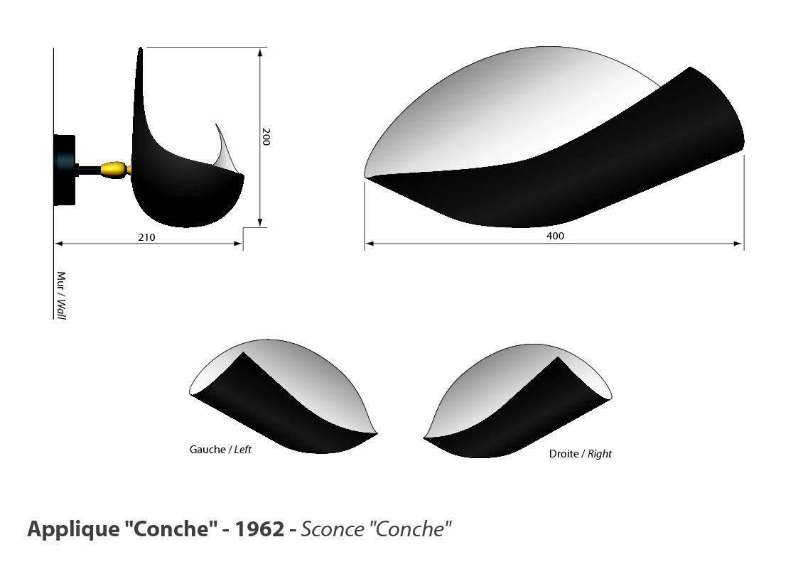 conque shell