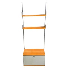 Scaffali moderni di metà secolo