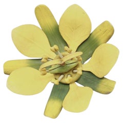 A German Botanical Teaching Model of a Maple Flower (Aceraceae)