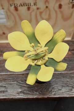 A German Botanical Teaching Model of a Maple Flower (Aceraceae)