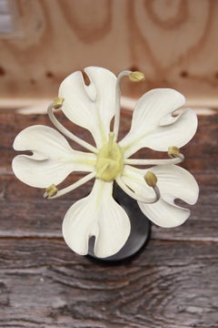 A German Botanical Teaching Model of a Hemlock Flower (Umbelliferae)