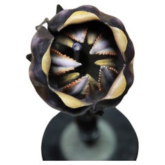 A Rare German Botanical Teaching Model of an Asclepiad Flower