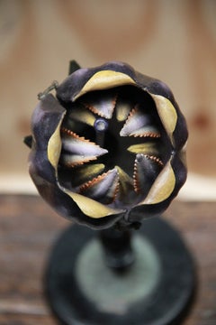 A Rare German Botanical Teaching Model of an Asclepiad Flower