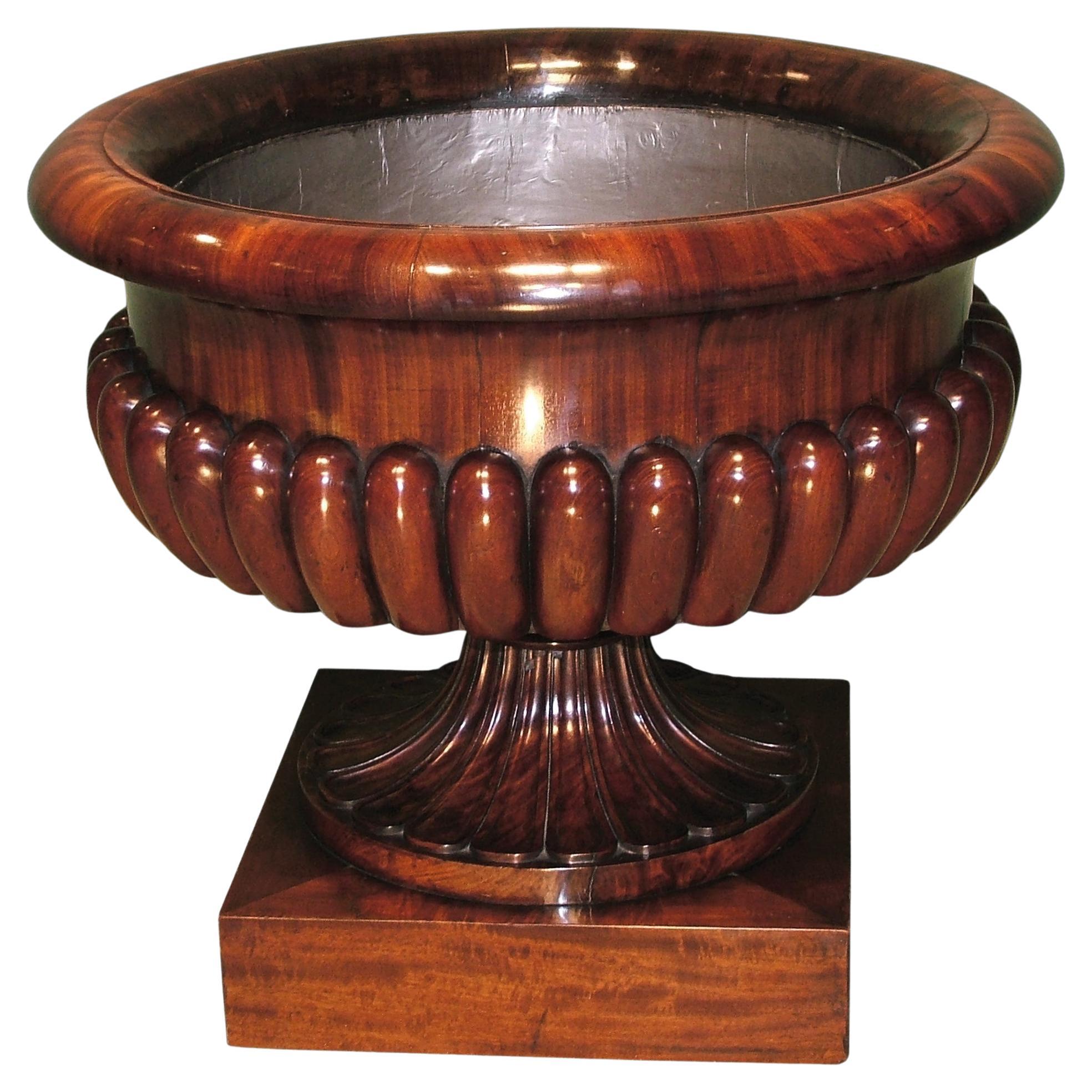 Ein feines Mahagoni aus der Regency-Zeit in Form einer Campana Cellarette/Jardiniere im Angebot