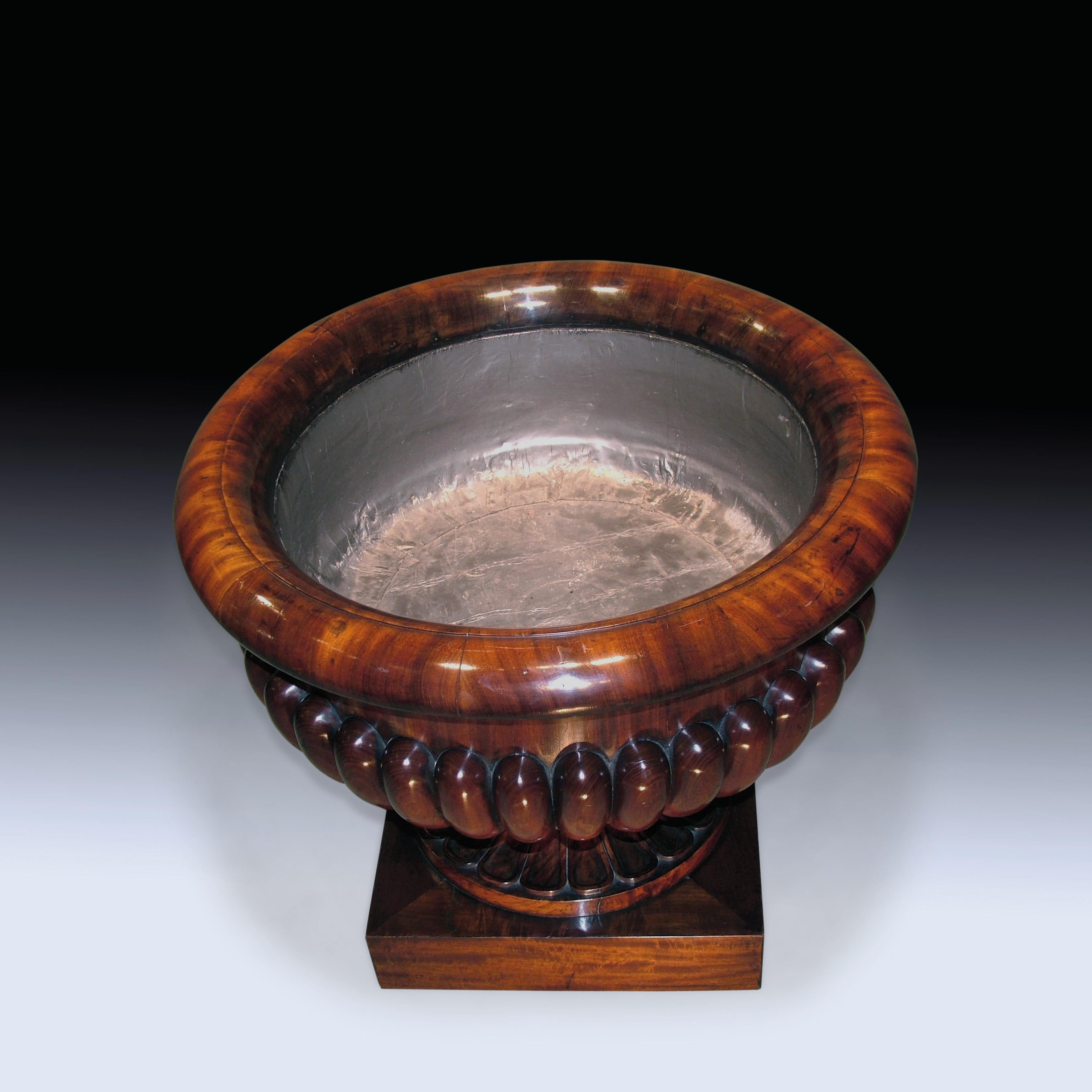 Ein feines Mahagoni aus der Regency-Zeit in Form einer Campana Cellarette/Jardiniere (George IV.) im Angebot