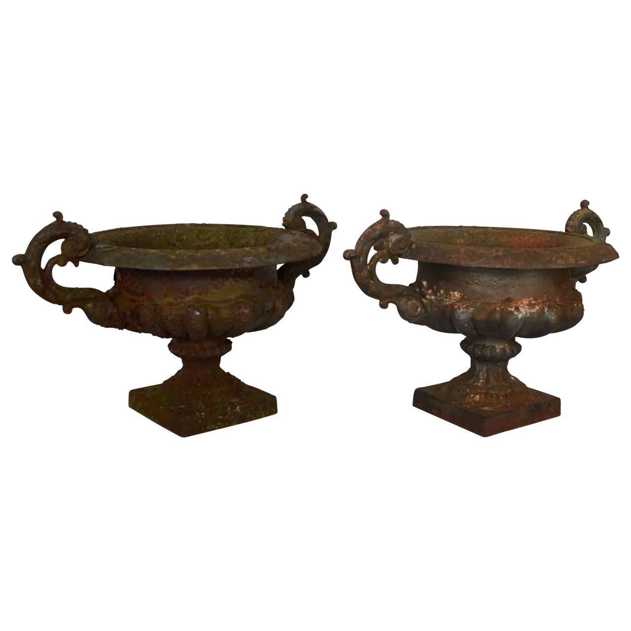 Beautiful pair of French cast iron urns. Shades of original leftover paint.