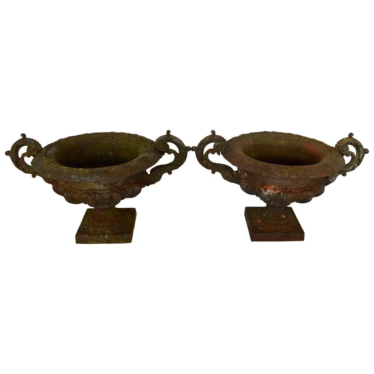 cast iron planters for sale