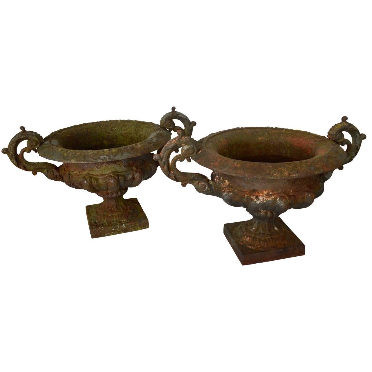 Belle Époque Pair of 19th Century French Cast Iron Planters or Urns For Sale