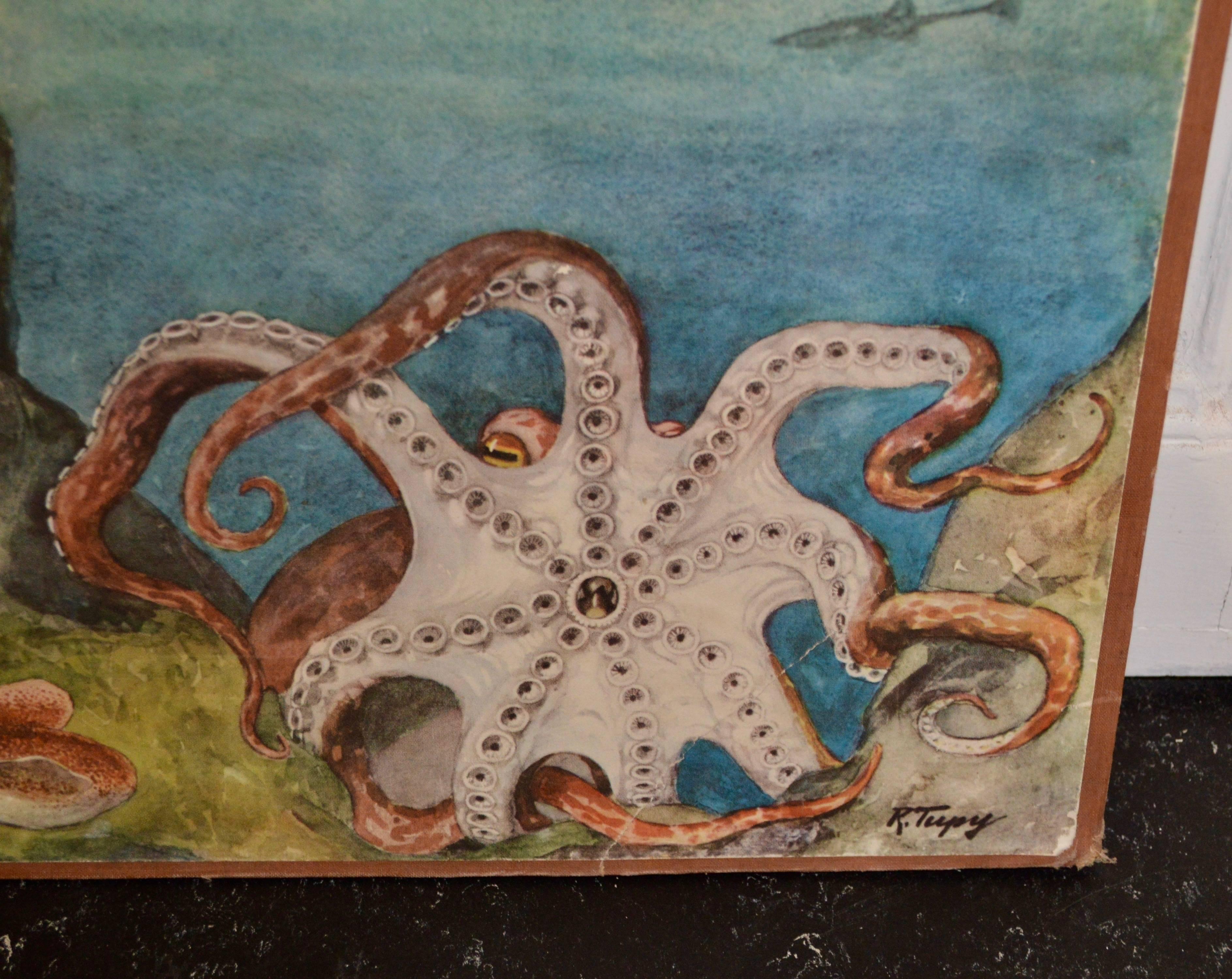 Early 20th Century Octopus School Chart 1