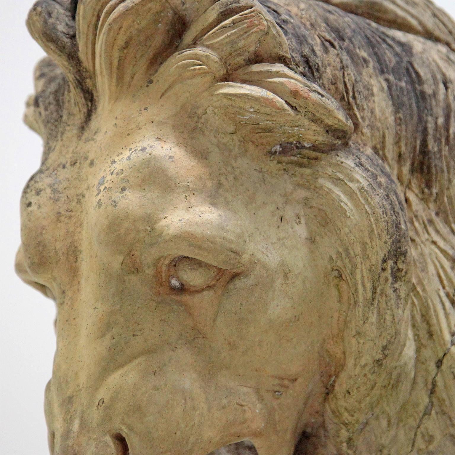 Terracotta Sculptures of Lion and Lioness, France, 19th Century 2