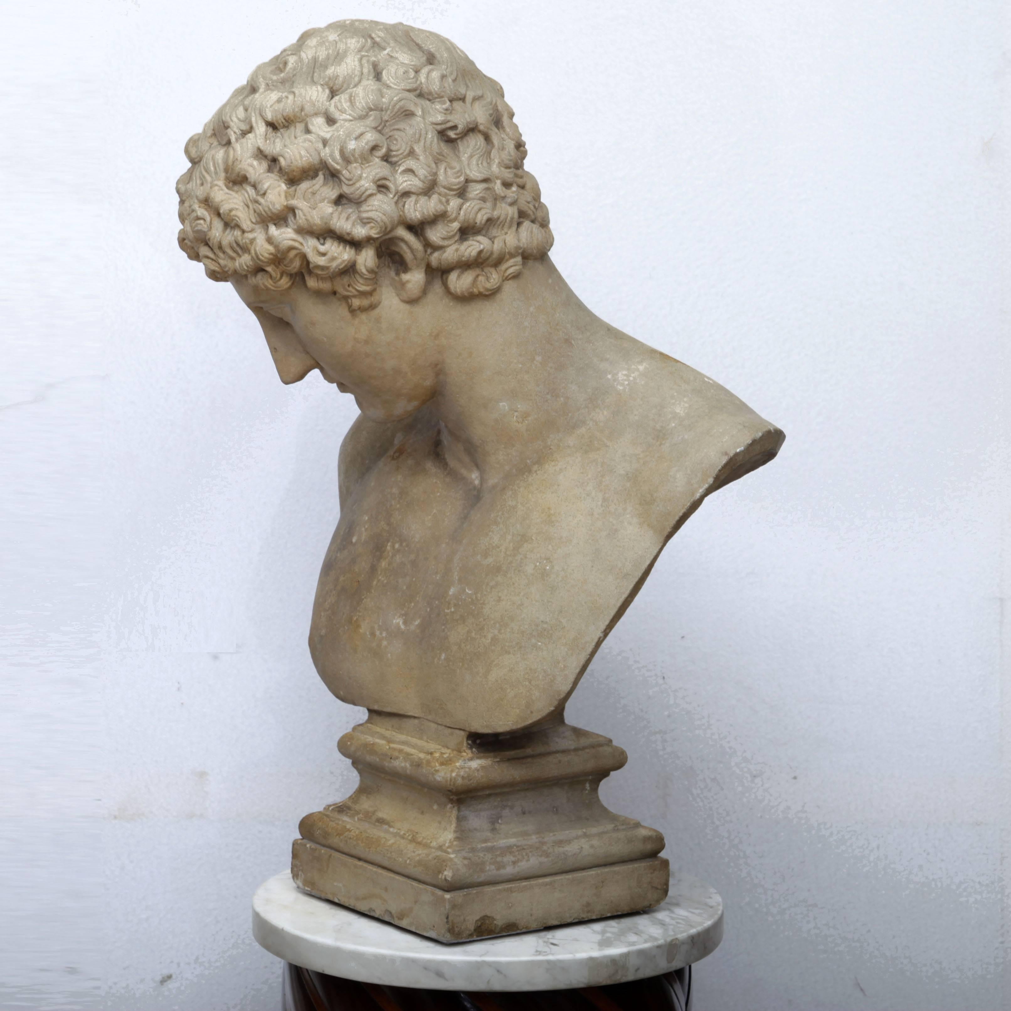 Bust of Antinous of the 19th century, after the Capitoline original.