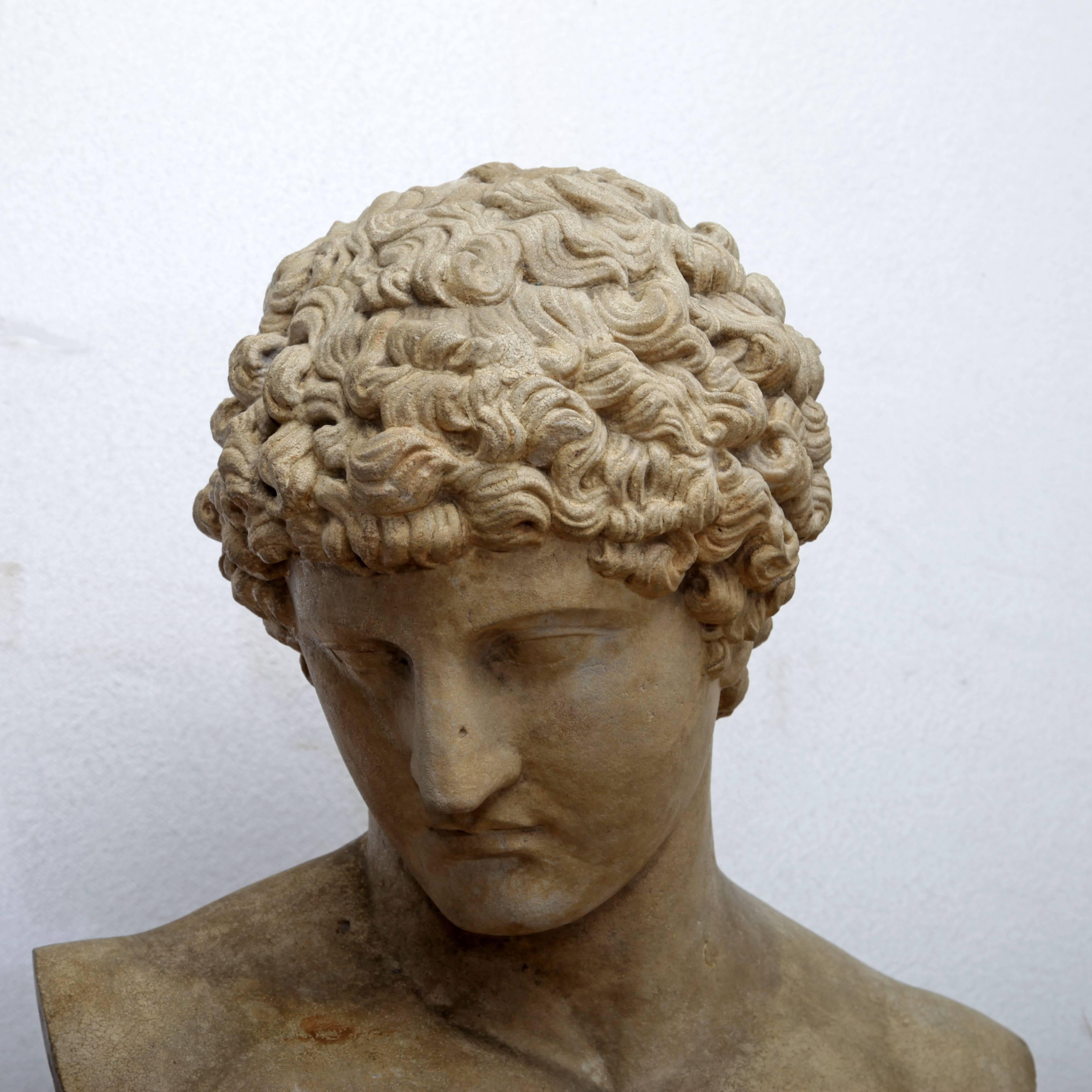 Copy of the Capitoline Antinous, 19th Century In Excellent Condition In Greding, DE