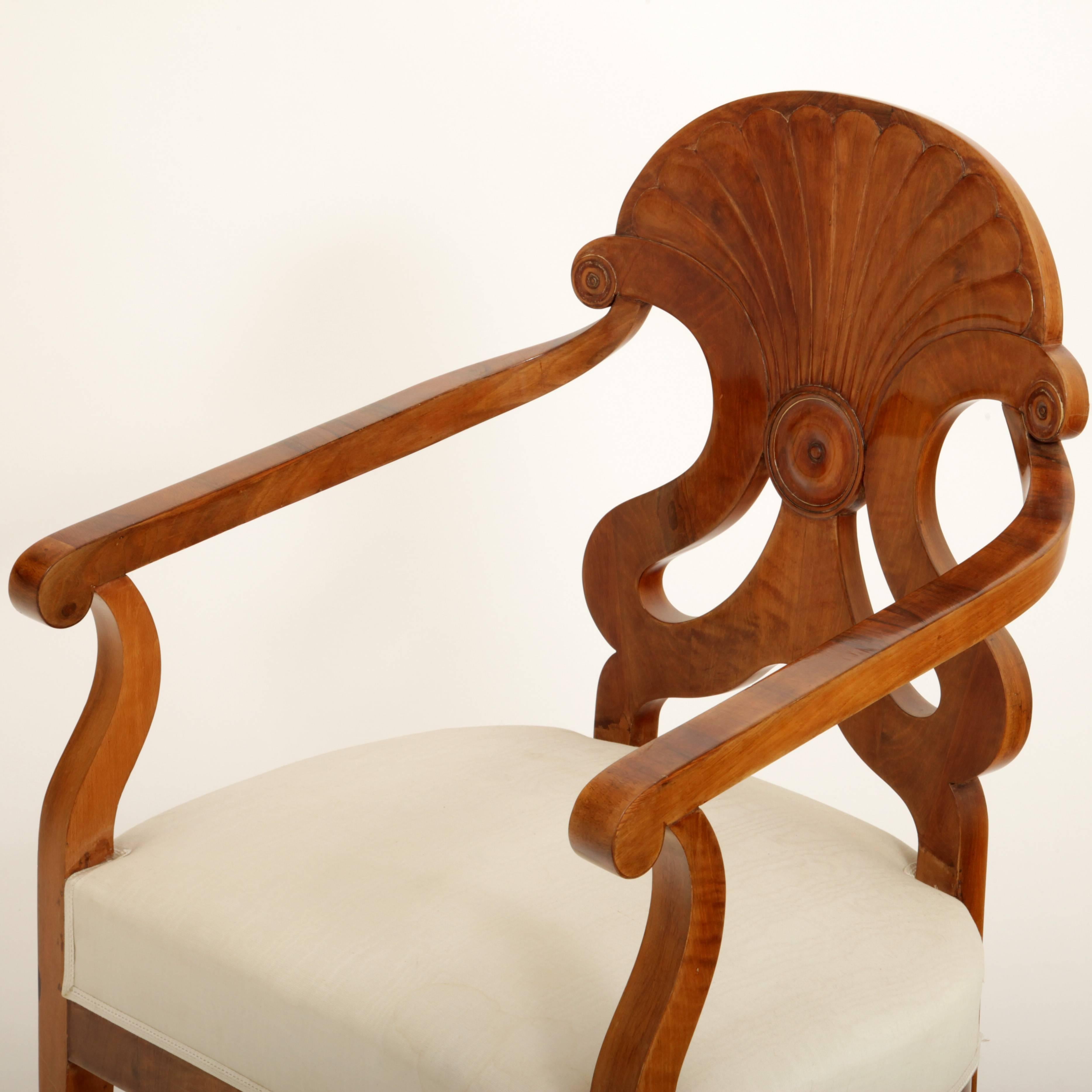 19th Century Biedermeier Bergère Chairs, Danube Monarchy