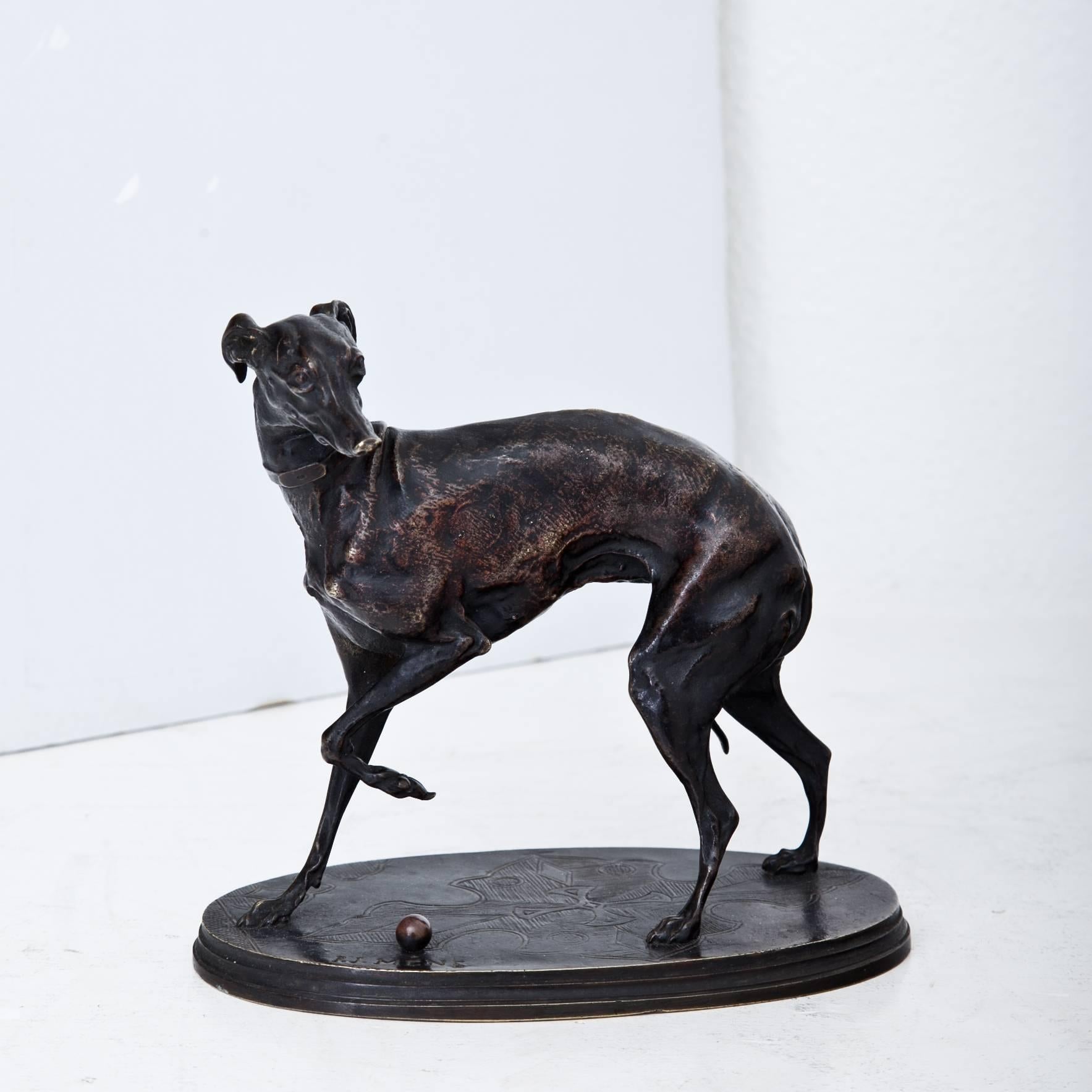 Naturalistically modelled bronze greyhound playing ball by Pierre-Jules Mène (1810-1879), France 19th Century. Signature at the oval plinth by P.J. Mène. Mène was autodidact and his works are among others part of the collections of the museums La