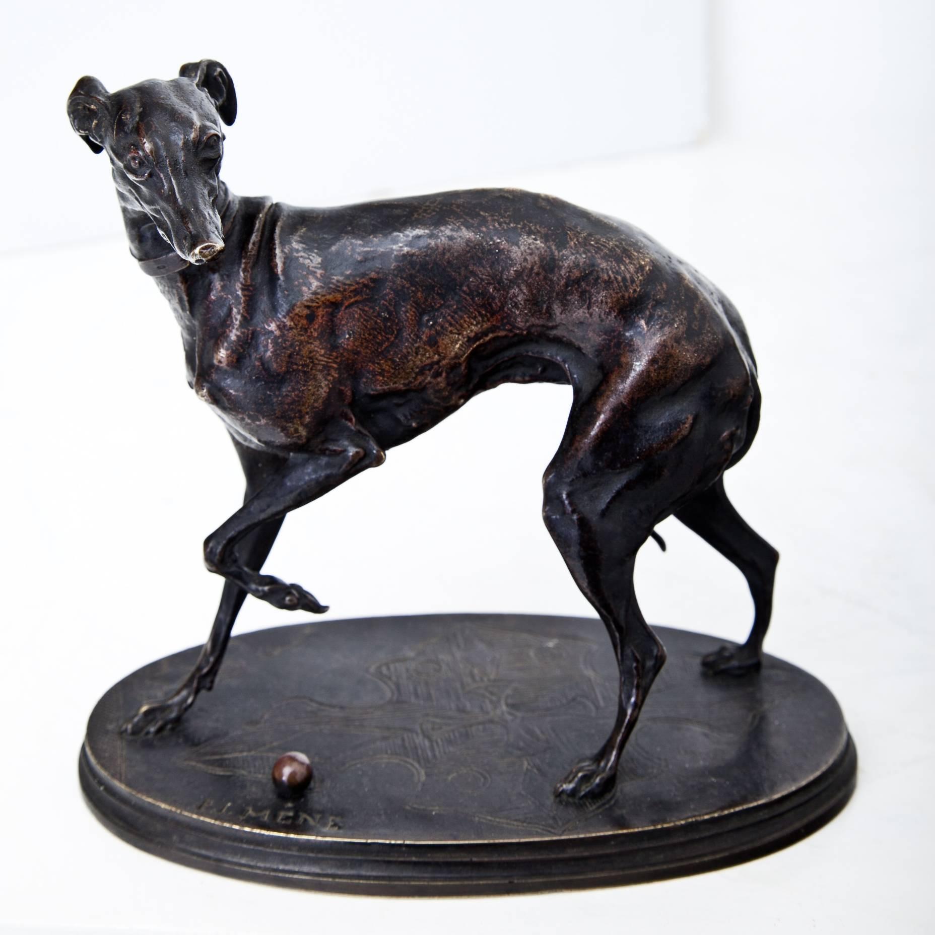 Bronze Greyhound by Pierre-Jules Mène, France, 19th Century 1