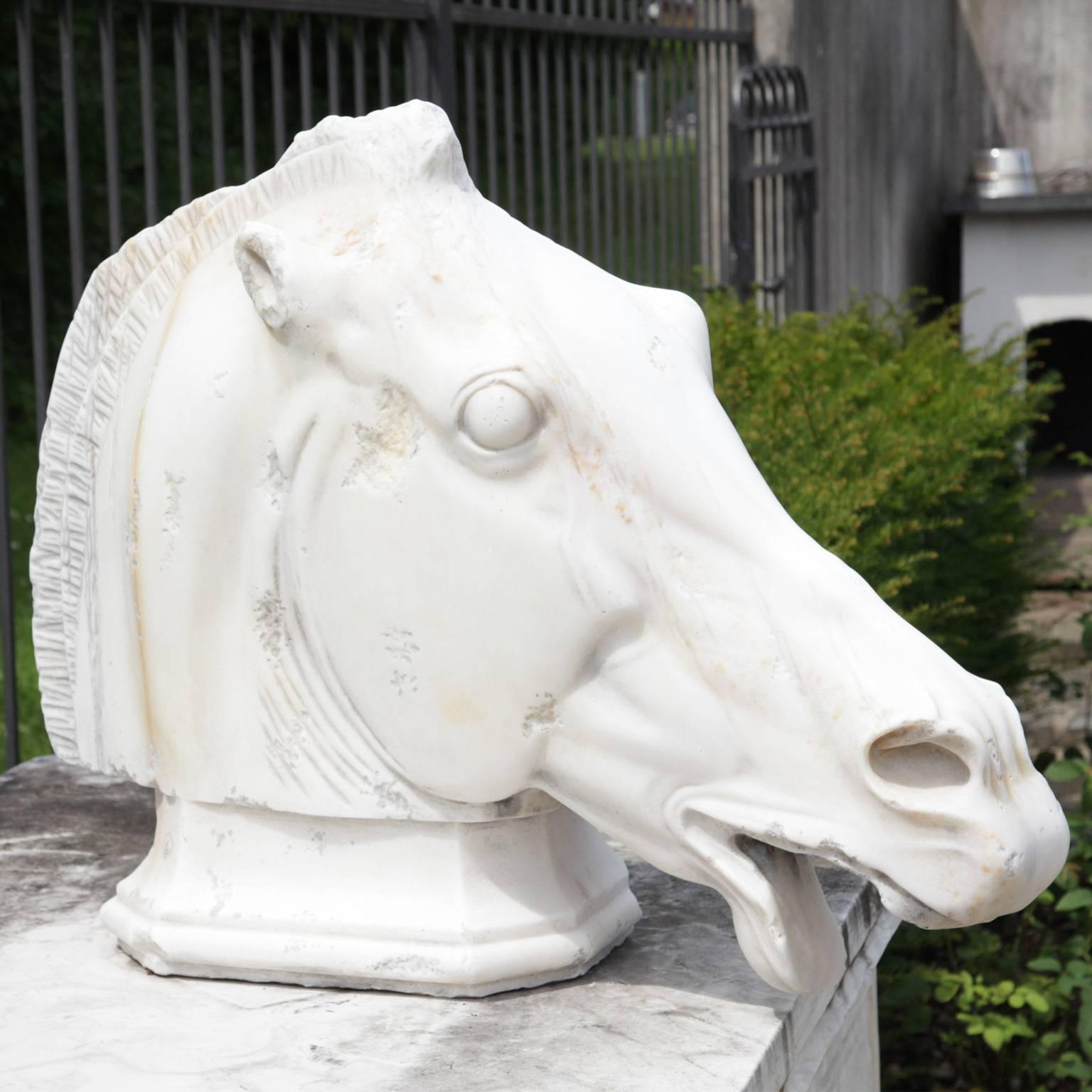 Marble horse head on a base. The eyes are torn open and the mouth is open. The ears as well as the nasal openings are very elaborate. The surface is very fine. Handmade after 