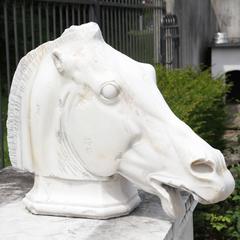 Copy of the Marble Sculpture "The Head of the Horse of Selene, " 20th Century